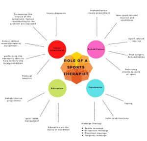 A diagram showing the role of the Sports Therapist 